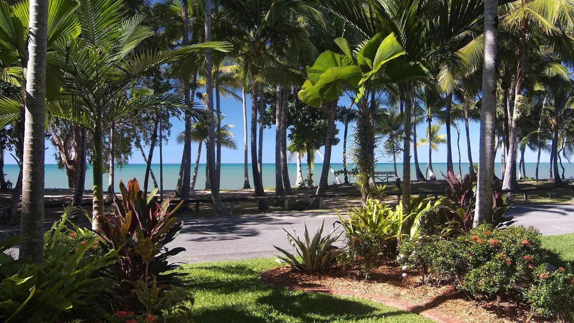 Agincourt Beachfront Apartments Клифтон-Бич